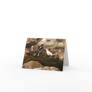 "Courtship" (Downy Woodpeckers) - Blank Note Card