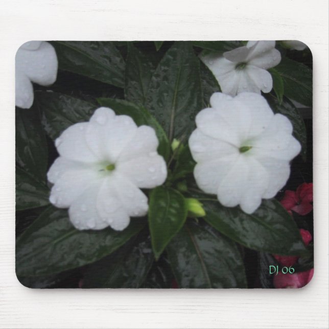Courtyard blooms, DJ 06 Mouse Pad (Front)