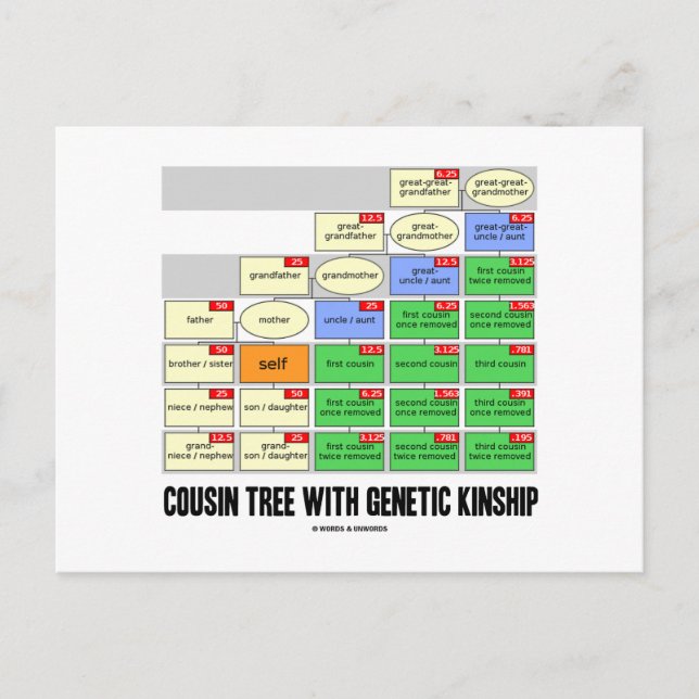 Cousin Tree With Genetic Kinship (Genealogy) Postcard (Front)