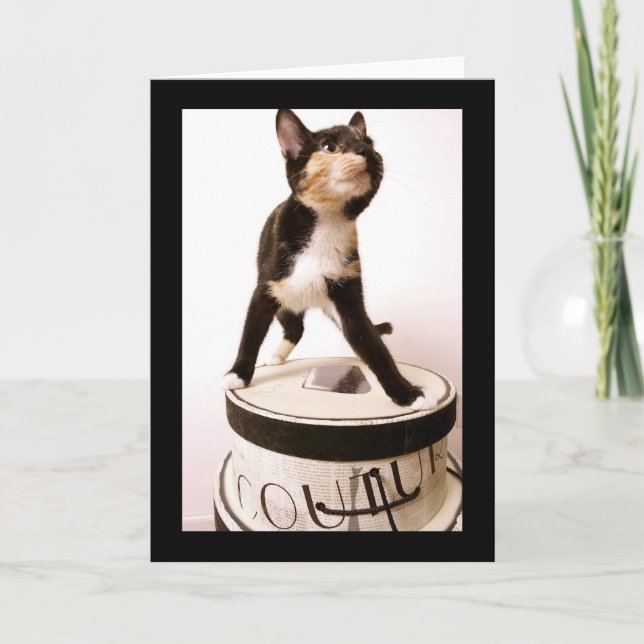 Couture Cat Card (Front)