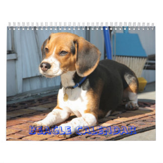 cover, Beagle Calendar