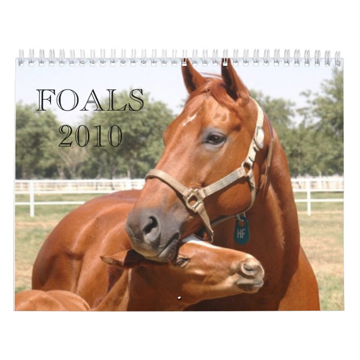 cover DSC_0118 a email,  Foals 2010, FOALS2010 Calendar