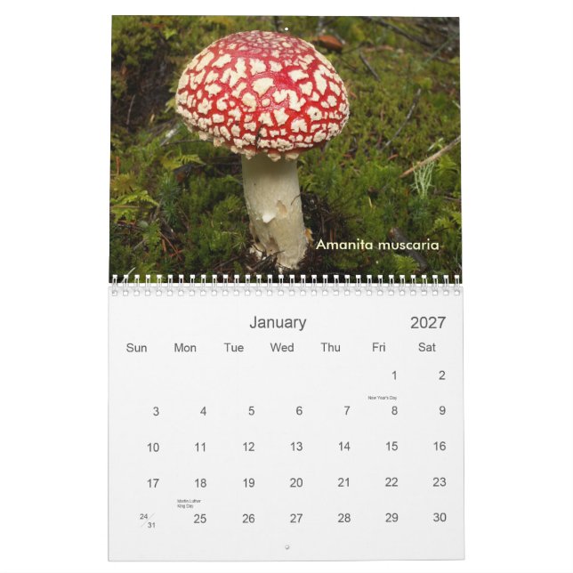 Cover , Fungi of the Northwest. Calendar (Jan 2027)