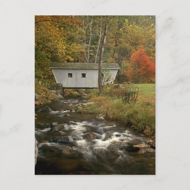Covered Bridge Foliage Kent Falls State Park Postcard (Front)