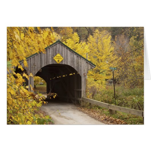Covered bridge, Vermont, USA 2 Cards (Front Horizontal)