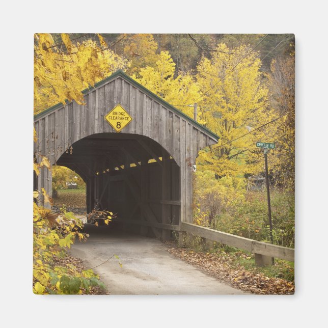 Covered bridge, Vermont, USA 2 Magnet (Front)