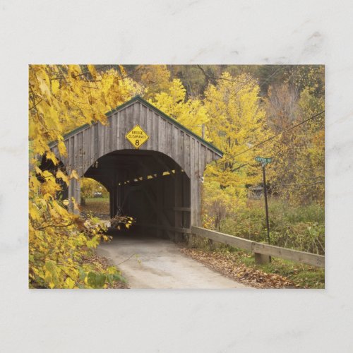 Covered bridge Vermont USA 2 Postcard