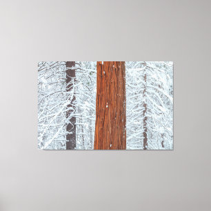 Covered canvas print