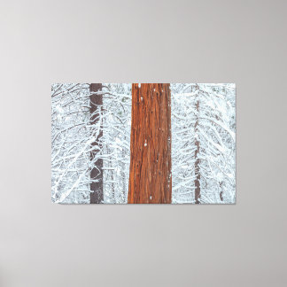 Covered canvas print