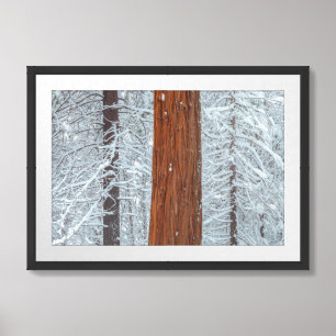 Covered framed art