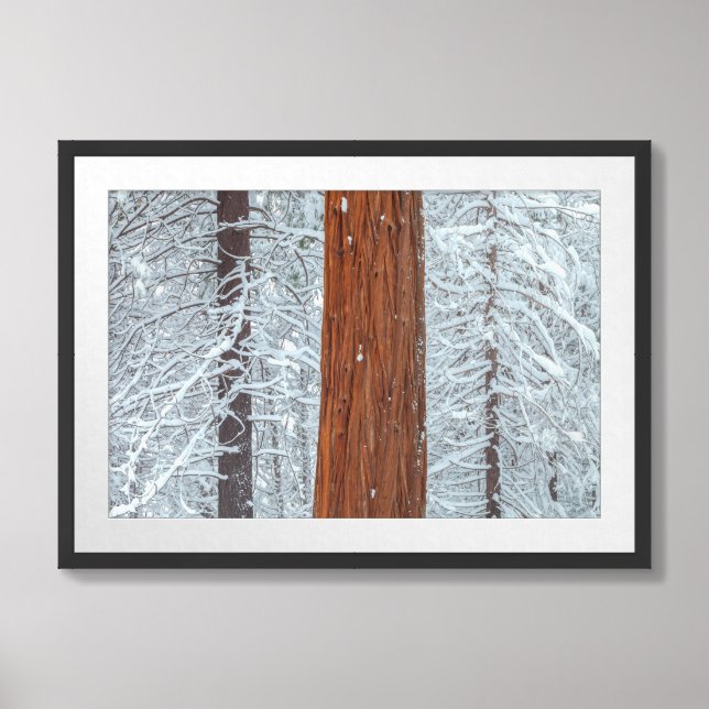 Covered  framed art (Framed Front)