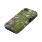 Covered in Moss