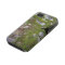 Covered in Moss