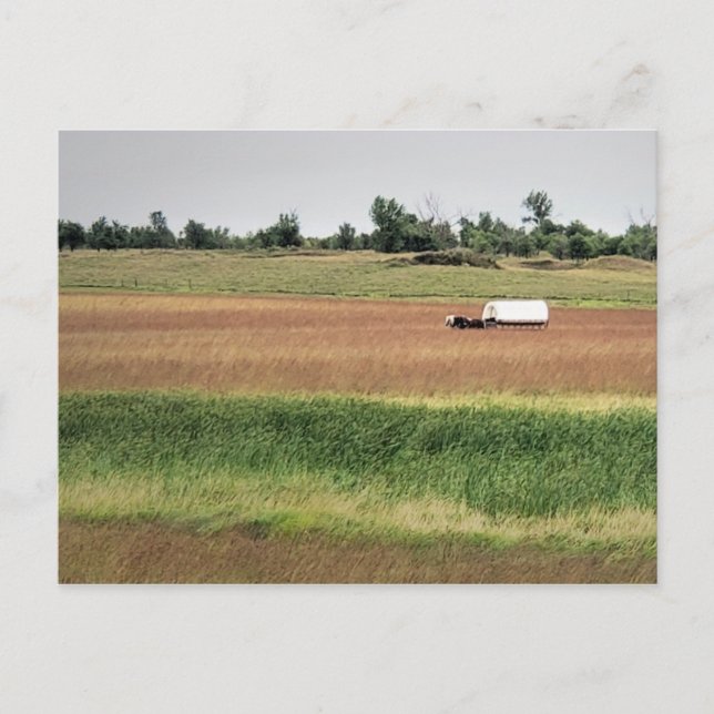 Covered Wagon at Laura Ingalls Wilder Homestead Postcard (Front)