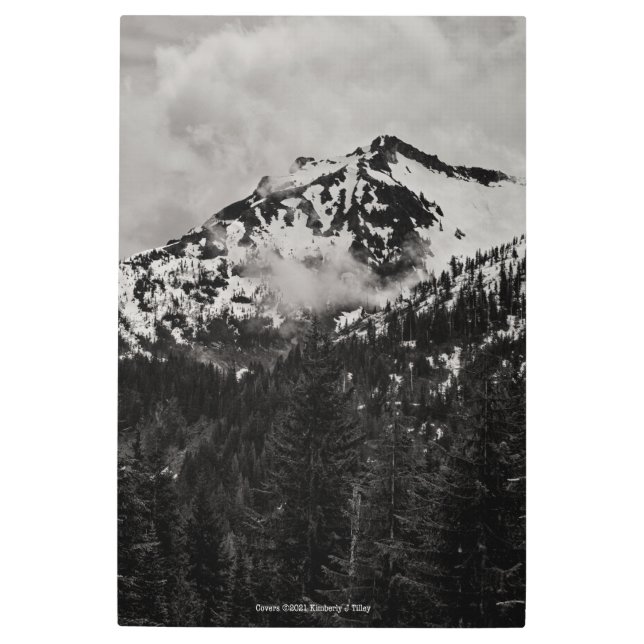 Covers Metal Print (Front)