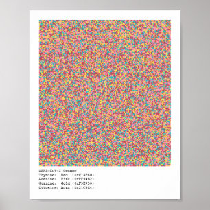 COVID-19 Genome Poster