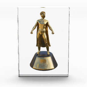 COVID Hero (Male) Acrylic Award