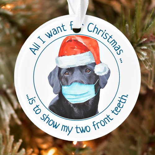 Covid Quarantine Christmas Face Mask Santa Dog Ornament