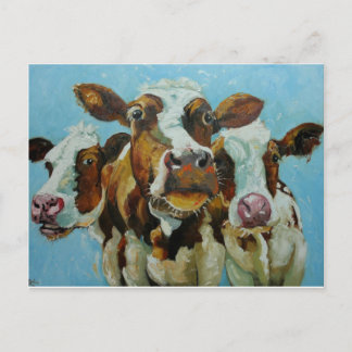 Cow#409 Postcard