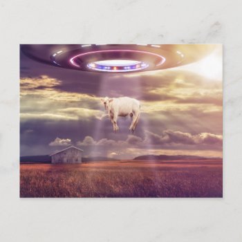 Cow Abducted By Aliens Fantasy Art Postcard by biutiful at Zazzle