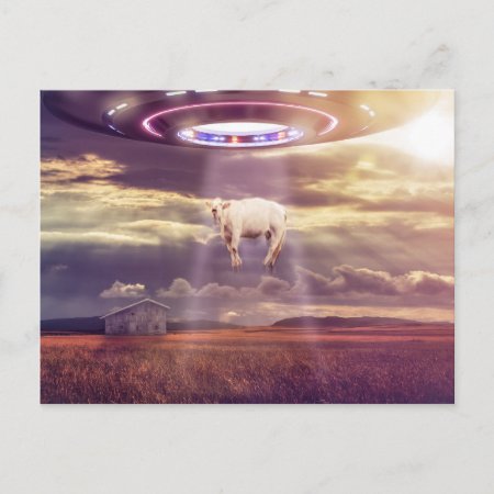 Cow Abducted By Aliens Fantasy Art Postcard