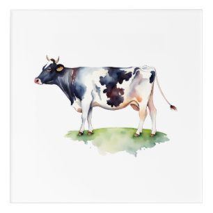 Cow Acrylic Print