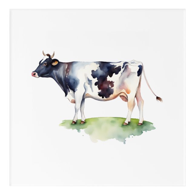 Cow Acrylic Print (Front)