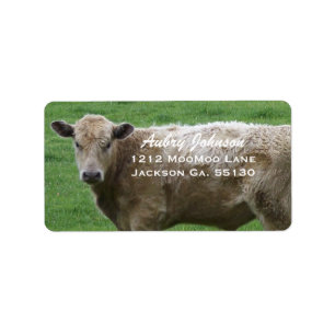Cow Address Labels