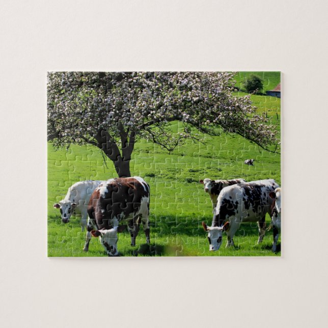 Cow among blooming apple trees in Normandy Jigsaw Puzzle (Horizontal)