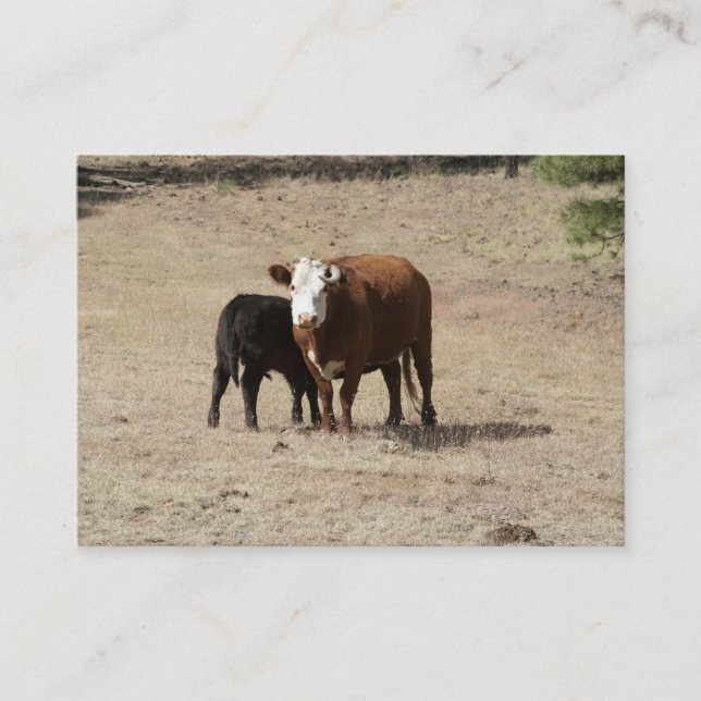 Cow and Baby business cards (Front)
