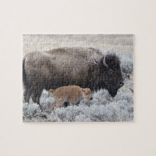Cow and Calf Bison, Yellowstone Jigsaw Puzzle