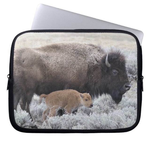 Cow and Calf Bison, Yellowstone Laptop Sleeve (Front)