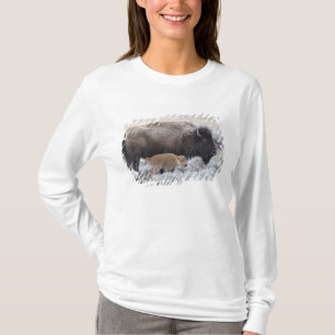 Cow and Calf Bison, Yellowstone T-Shirt