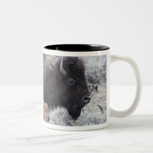 Cow and Calf Bison Yellowstone Two_Tone Coffee Mug