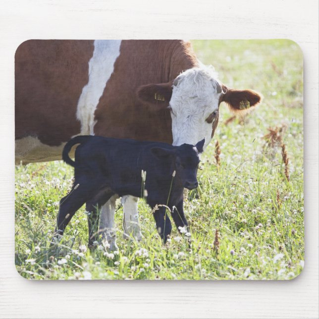 Cow and calf mouse pad (Front)
