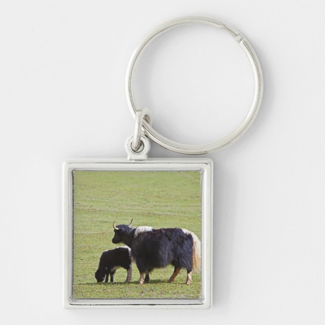 Cow and calf Yak, Lijiang Keychain (Front)