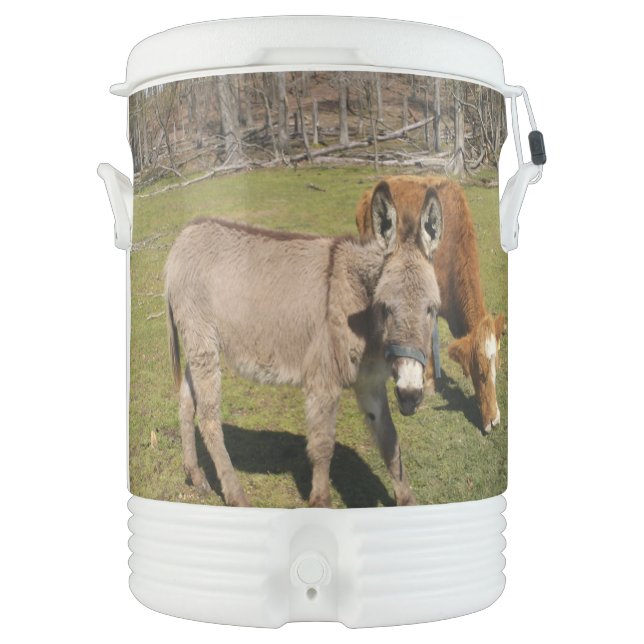 Cow and Donkey Igloo Beverage Cooler (Front)