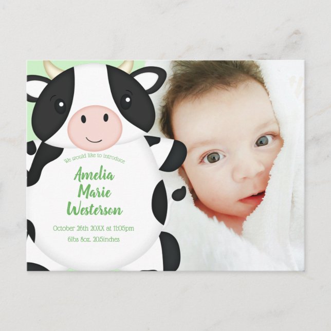 Cow Baby Shower Farm Postcard (Front)