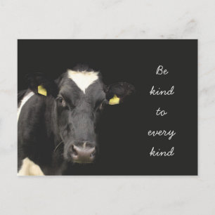 Cow    Be Kind to every kind Postcard