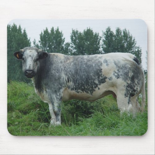 Cow Belgian Blue Mouse Pad