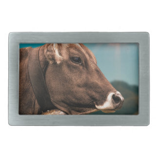 cow belt buckle