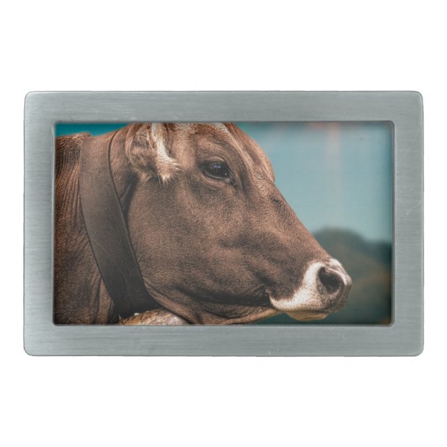 cow belt buckle (Front)