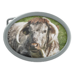 COW BELT BUCKLE