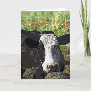 Cow Birthday card