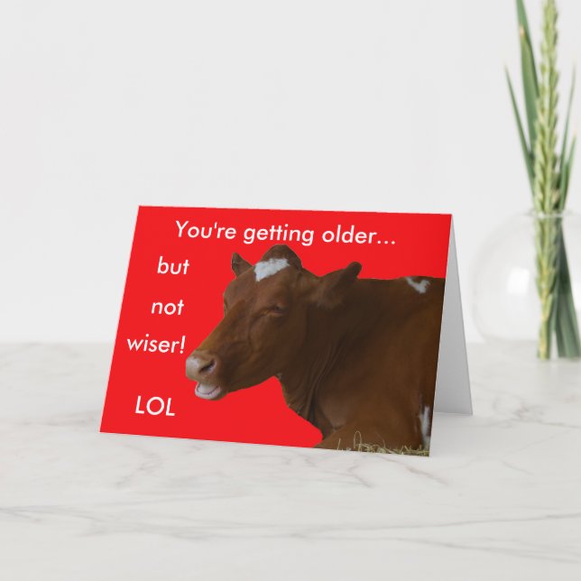 Cow birthday card (Front)