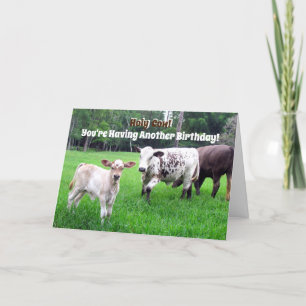 Cow Birthday Card - Farm Series - Folded Card