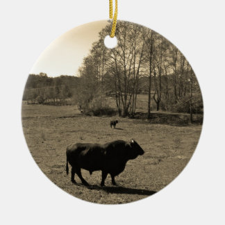 Cow, Black bull. Sepia Tone  Photo Ceramic Ornament