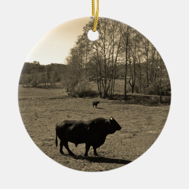 Cow, Black bull. Sepia Tone  Photo Ceramic Ornament (Front)
