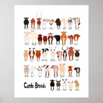 cow breeds chart