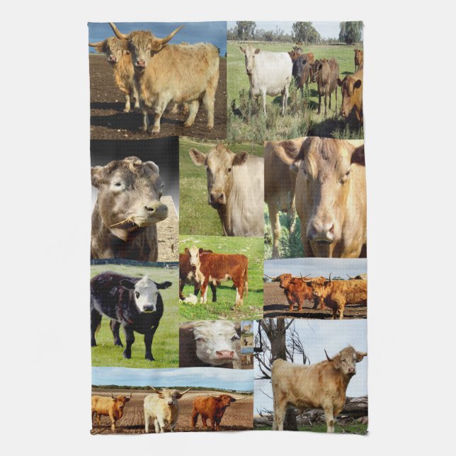 Cow Breeds Photo Collage, Kitchen Towel (Vertical)